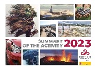Imagen de la carátula de la publicación Informe de la Actividad 2020.