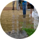 Imagen detalle Ir al detalle de la noticia