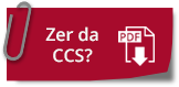 Irudia botoia Zer da CCS?