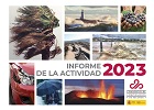 Imagen de la carátula de la publicación Informe de la Actividad 2020.