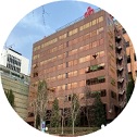 Ir al detalle de la noticia